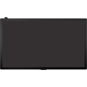 IA1000 Replacement Monitor CSC050A-16